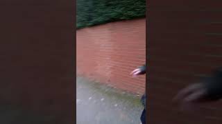 crossdresser walks in public
