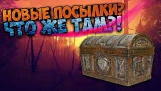 Пришла посылка) что же там? Муравьи ? Муравьиная ферма?