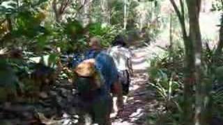 Hiking the Reef Bay Trail - Part One, St. John, US Virgin Is