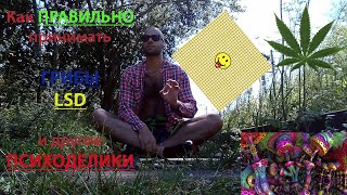 Как правильно триповать. ЛСД, ГРИБЫ и другие психоделики