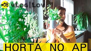 HORTA NO AP - MANJERICÃO GENGIBRE ABACAXI TOMATE AVOCATO