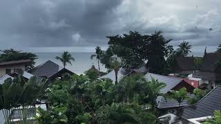 Rainy Day in Thailand | Falling Rain & Distant Ocean Sounds for Sleep & Relaxation