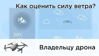 Как оценить силу ветра в полете
