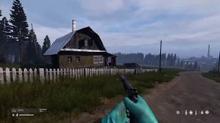 DayZ PS4 (First Person Only)