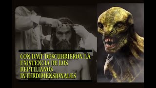 Científicos descubrieron evidencia de que nuestros antepasados ​​fueron testigos de reptilianos