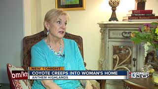 Coyote gets into Las Vegas woman's home through the doggy door