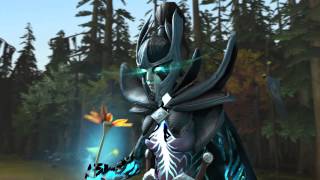 [SFM] Foreseer's Contract in Nutshell