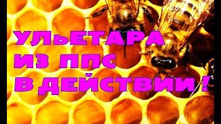 Пасека! Ульетара! В чем мы держим пчел! Комбинации с полистиролом на пасеке! ППС!
