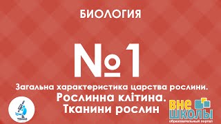 Онлайн-урок ЗНО. Биология №1. Общая характеристика растений. Растительная клетка. Ткани растений