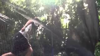 Trampling
