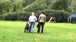Smart Wood Hills Dewars HD1 V 1B