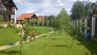 Размножение саженцев плодовых деревьев. GuberniaTV