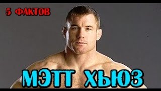 5 фактов - МЭТТ ХЬЮЗ