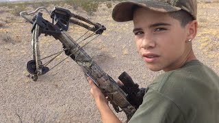 Rabbit Hunt: 10 Point Crossbow demonstration and kill with Varmint Tips