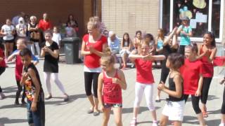 Sommerfest 2014 - 3 - OGS Altmuehl