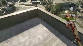 Dying Light Online