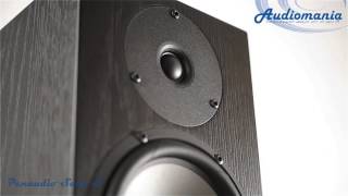 Напольная акустика Penaudio Sara S