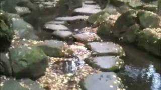 The Great small adventure:)