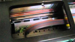 Epson Stylus Photo P50 - печать фото А4 качество фото