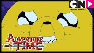 Время приключений | Джейк - пёс | Cartoon Network