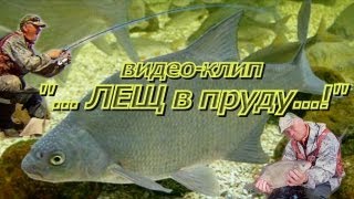 ПашАсУралмашА:- Видео-клип "...ЛЕЩ в пруду...!"