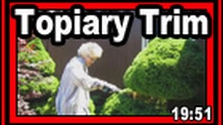 Topiary Trim - Wisconsin Garden Video Blog 606