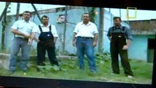 Los menonitas y las violaciones
