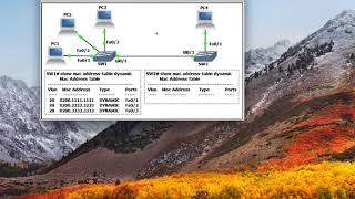 Hub vs Switch vs Router| Collision Domain vs Broadcast Domain الفرق بين