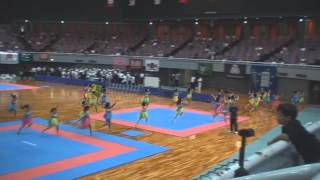 ANKF All Japan Nippon kempo Championship 2013 日本拳法総合選手権大会 OSAKA