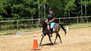 Galiceno NiNa and Heidi get some English riding lessons/