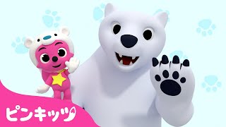 【英語童謡】 ホッキョクグマ~Polar Bear~ | 子供向け英語聞き流し | どうぶつの歌 | ピンキッツ! 童謡と子どもの動画