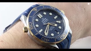 2018 OMEGA SEAMASTER DIVER 300M PROFESSIONAL STEEL/YELLOW GOLD 210.22.42.20.03.001 Luxury Watch