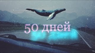 Разбуди меня в 4:20 | СИНИЙ КИТ | Dorina