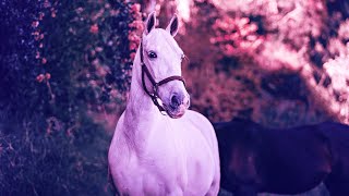 Stress Relief Healing Music | 432Hz Positive Vibrations | Miracle Meditation | Spiritual Awakening