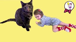 Кошечка Масяня новый питомец Саши. VLOG Знакомимся с Масей. Cat Masyanya new pet Sasha