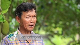 28.VTR เรื่อง ปลูกขนุนนอกฤดู โครงการ  กศน.Smart ONIE Smart Farmer 4.0