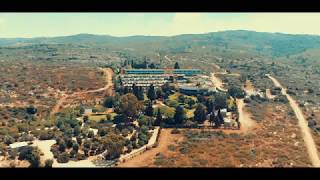 Mavic Air - Slowmo 120fps Cinematic look