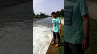 Water step