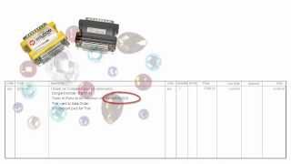 Updating Wilcom access codes manually e3
