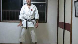 KARATE SHOTOKAN TREINAMENTO - Usando o Solo 1º Parte