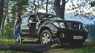 Путешествие на Рыбинское водохранилище на машине. Повстречали змею.