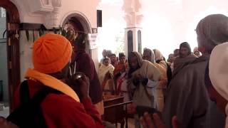 MAYAPUR KI JAY!