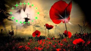 ARMIK-VEIL OF DESIRE