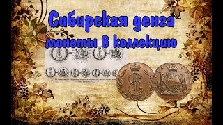 Получил монеты империи с аукциона! Сибирская денга