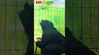 bts SYUTING BALON ISI AIR #shorts #shortvideo #ballon #balloon #ballons #balloons #youtubeshorts