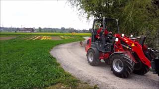 SWISSJunior Mix