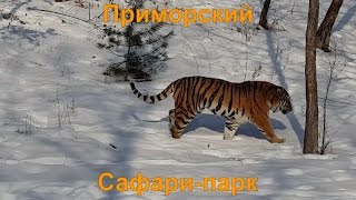 Ролик Приморского Сафари-парка для туристской выставки во Владивостоке