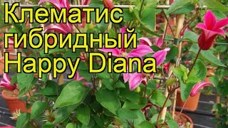 Клематис гибридный Хэппи Диана. Краткий обзор, описание характеристик clematis Happy Diana