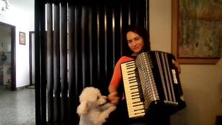 Speranze Perdute waltz- Accordion