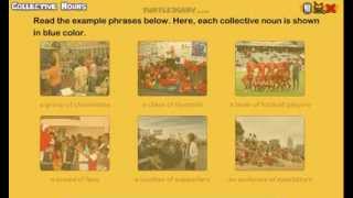 Collective Nouns - Grammar Lesson for Grade 3